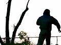 wakelee - "Sundial" (Official Music Video)
