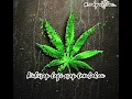 Gara gara rasta|| Cover ||