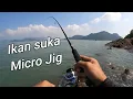 micro jigging || ikan GT dan talang || Kuying superlite Ajing