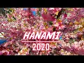 Download Lagu HANAMI 2020