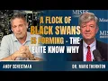Lagu A Flock of Black Swans Is Forming \u0026 the Power Elite Knows Exactly Why | Thornton \u0026 Schectman