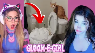 PETS THAT MAKE YOU NEVER WANT PETS