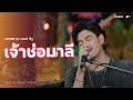 Download Lagu เจ้าช่อมาลี - Am seatwo (Live session cover in pool villa) original: MR.TEAM