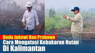 Beda Jokowi Dan Prabowo, Cara Mengatasi Kebakaran Hutan Di Kalimantan