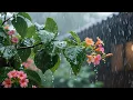 Download Lagu Suara Hujan Dan Petir - Untuk Terapi Tidur Dan Relax