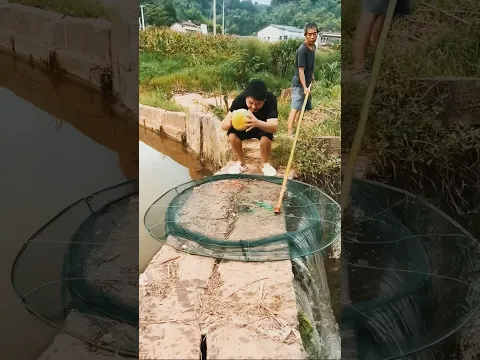 Dad Fishing Trick with Watermellon 🐟 #fishtank#fishaquarium #shortsfeed #woodworking #shorts