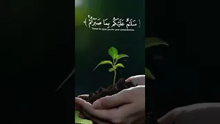 سلام عليكم بما صبرتم فنعم عقبى الدار 