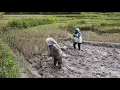 Download Lagu PERJUANGAN PETANI PADI CANGKUL SAWAH MP3