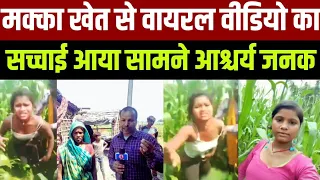  makka khet ka viral video makka khet ka video