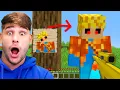 Download Lagu Tudo que eu DESENHAR o LOPERS REVERSO vai me dar !