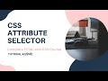CSS Attribute Selector HTML and CSS tutorial 42