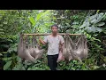 Download Lagu Full video: Tran Cong rebuilds life from scratch in the wilderness, first assets were wild boars