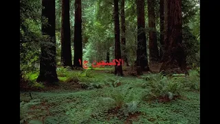 كيمياء 2 المجموعات الرئيسية 11 المجموعة السادسة 1 الاكسجين 1 