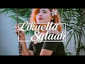 Download Lagu Gomez Lx - Mila Jo Tu ✘ Adambarai Baluwamanam