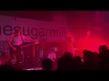Wolf Alice - No Hard Feelings