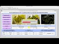 Plant Disease Detection Classification on Leaf Images Using Image Processing Matlab Project
