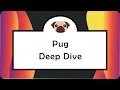 Pug Deep Dive