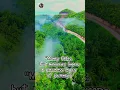 Download Lagu \