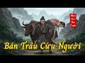 Lagu Bán Trâu Cứu Người Lạ, 10 Năm Sau Con Trai Thoát Chết Nhờ Nhân Quả!