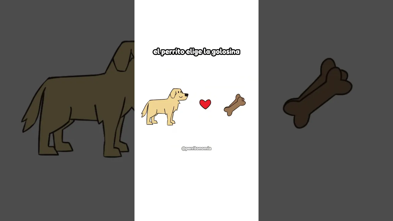 Perritonomia El Costo De Opportunidad