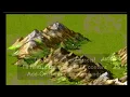 MapForge Isometric Project Redo Part 2