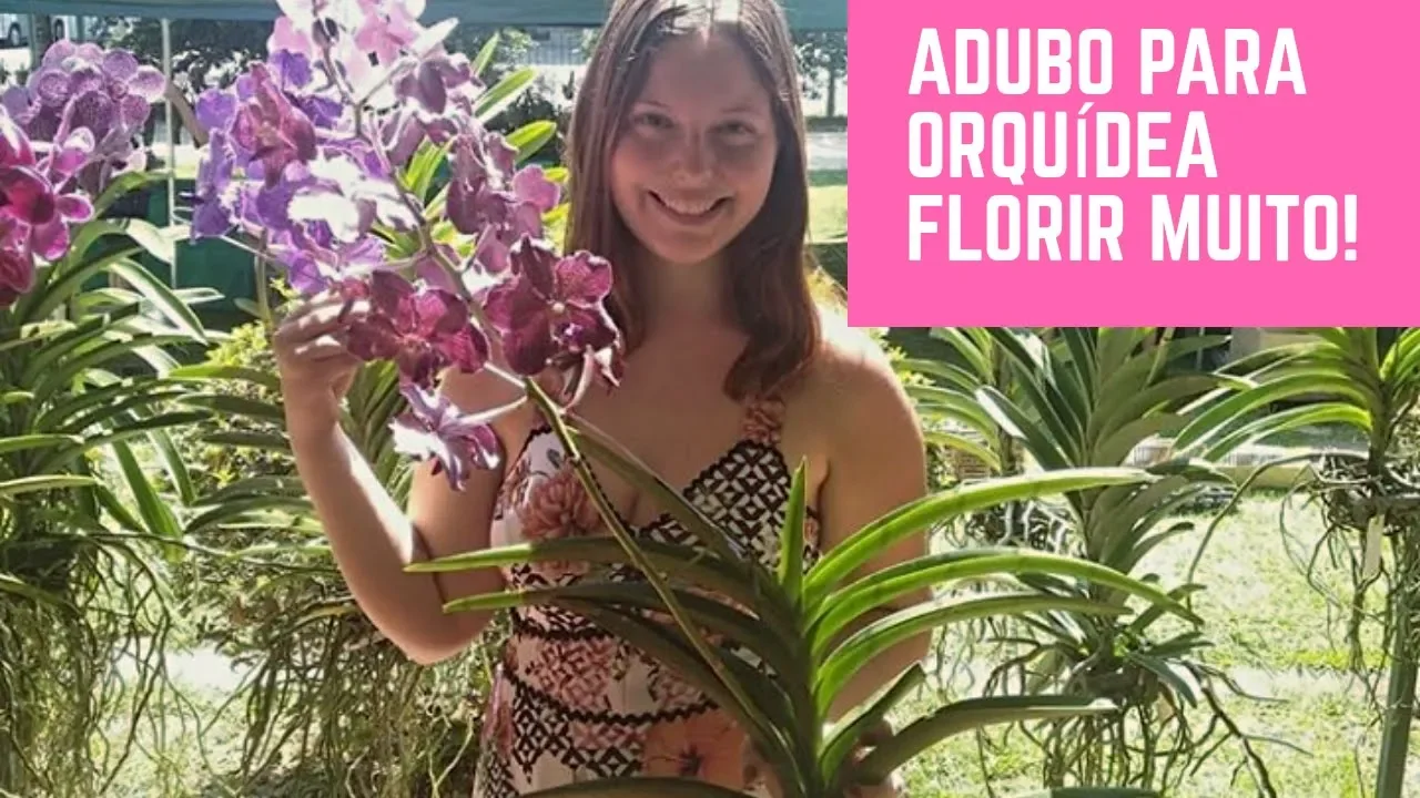 ADUBO PARA ORQUÍDEA DAR MUITA FLOR!