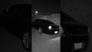 فدوه لا تروح دندنها