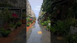 جمال عاصمة الجزائر الجزائر شورتس 