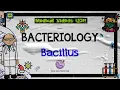 Bacillus-soorten | Overzicht, pathogenese en klinisch belang | Bacteriologie