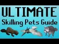 OSRS ULTIMATE Skilling Pets Guide With Comparisons