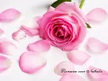 Eternal Flame- Atomic Kitten+ LYRICS