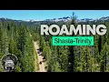 OFF-ROAD Camping EXPLORATION SECLUDED GEMS of Shasta Trinity A GX470 Story