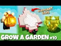 Download Lagu KALAHKAN CANDY BLOSSOM?! Tanaman ELEPHANT EARS  \u0026 Summer Event Update 🌺🐘🌞 | Grow a Garden Indonesia