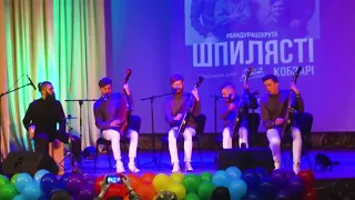 Шпилясті кобзарі 