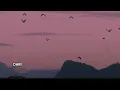  Langit Merah Muda (Afgan) Cover acoustic R&B / Chill Pop 