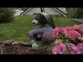 Margot og hunden