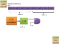 8051 Timer Mode 2 Programming With Example