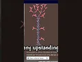 So I m On The Terraria Wiki