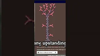 So I m On The Terraria Wiki