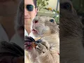 Download Lagu Palm Beach Prairie Dog 🏝️🥰 #prairiedog