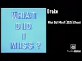 Drake - What Did I Miss? [2025] (Clean)
