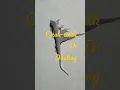 Download Lagu cicak-cicak di dinding jos@gawa 94