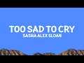 Download Lagu Sasha Alex Sloan - Too Sad To Cry (Lyrics)
