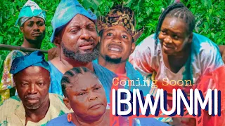 ibiwunmi movie series