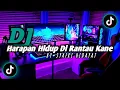 Download Lagu DJ HARAPAN HIDUP DI RANTAU | DJ TIK TOK TERBARU 2022