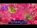 Download Lagu Bilakah Kau Pulang (Koes Plus) - Karaoke Non Vocal