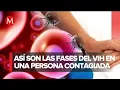 Download Lagu ¿Qué es el SIDA?; estas son las etapas del VIH