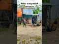 Lagu Kedua orang mabuk saling persalahkan dan akhirnya bert3ngkar💥👊 #wamena #Papua