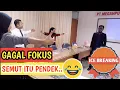 Download Lagu Ice Breaking Gajah Semut-Ular Cacing
