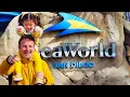 SEA WORLD SAN DIEGO 11 Things to Know Before You Go